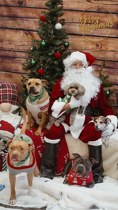 Santa's little helpers